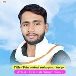 tota maina sarko pyar karyo