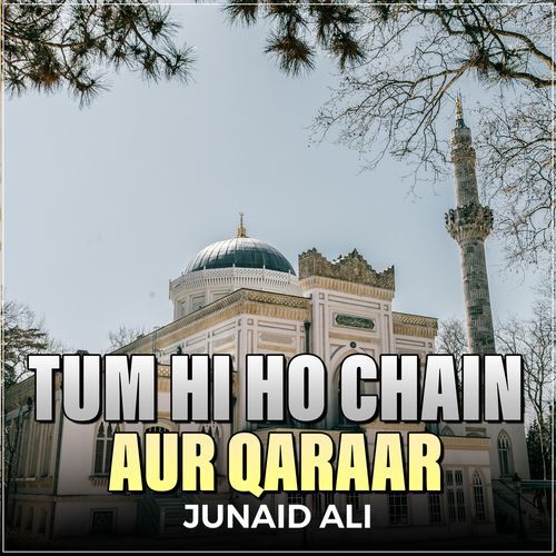 Tum Hi Ho Chain Aur Qaraar