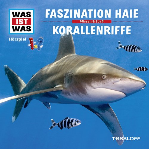03: Faszination Haie / Korallenriffe