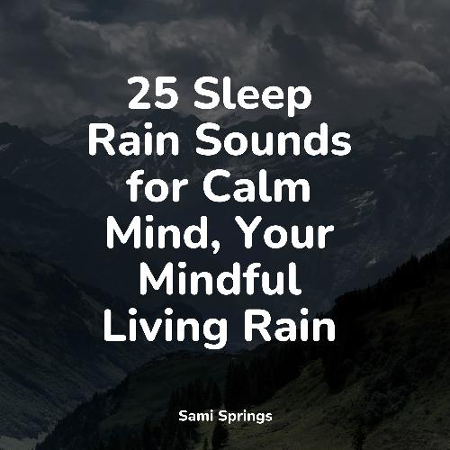 Rain, Storm and Thunder cover art