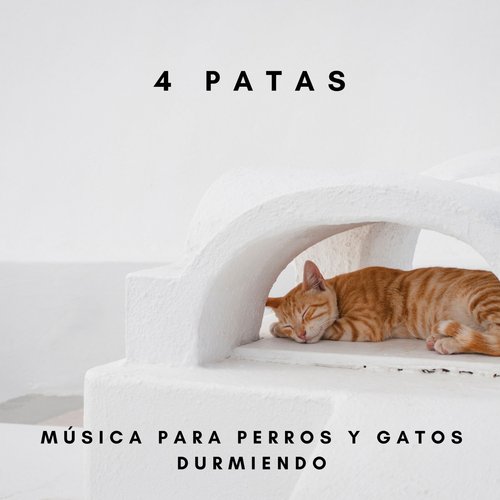 Música Calma Para Perros cover art