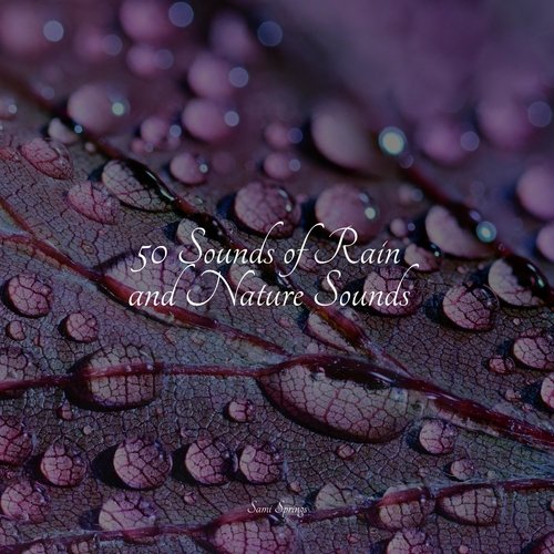 Rain, Storm and Thunder cover art