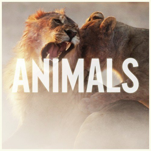 Animals Songs Download | Maroon 5 - JioSaavn