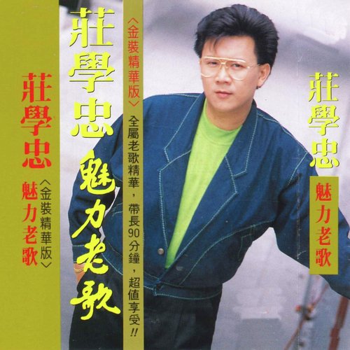 可爱的马