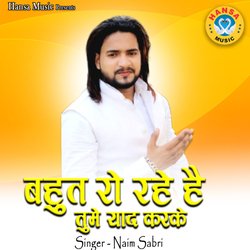 Bahot Ro Rahe Hai Tumhe Yaad Karke