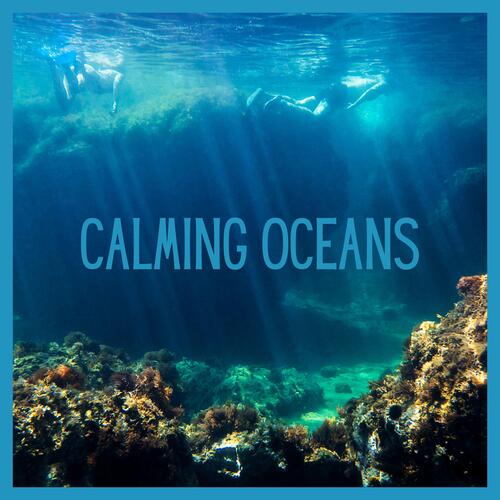 Coastal Sounds cover art
