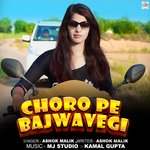 Choro Pe Bajwavegi
