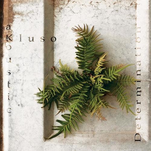 Singer cover art