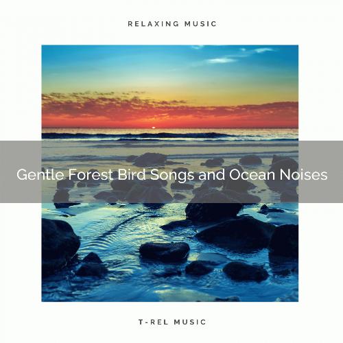 Gentle Forest Bird Songs and Ocean Noises_poster_image