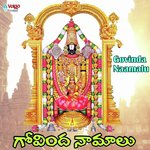 Brahmotsam Song