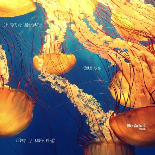 Gatha cover art