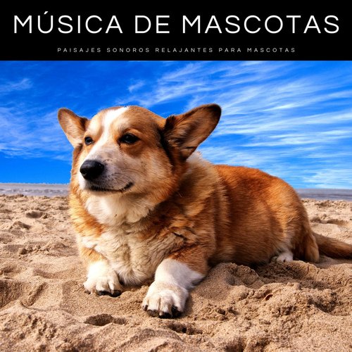 Música De Mascotas: Paisajes Sonoros Relajantes Para Mascotas