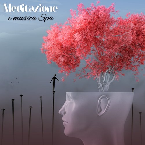 Musica da spa cover art