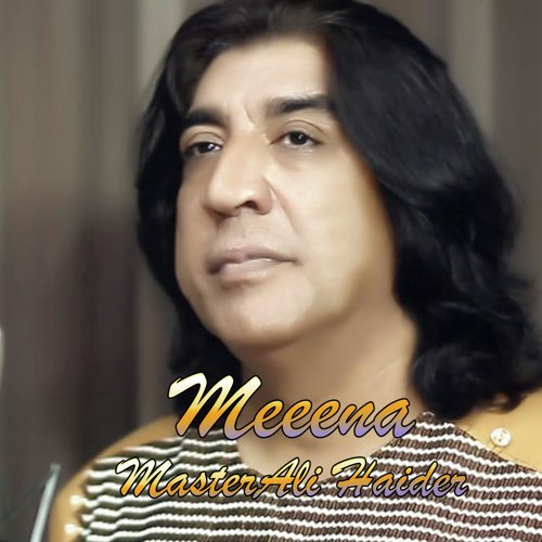 Meena Master Ali Haider cover art