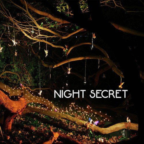Night Secret