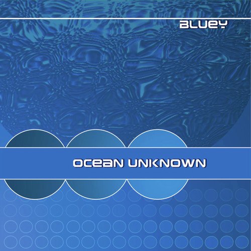 Ocean Unknown_poster_image