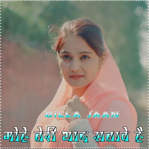 मोहे तेरी याद सतावे है