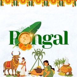 Pongal