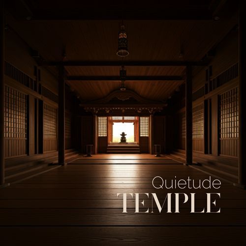 Quietude Temple: Embrace the Stillness, Release the Stress, and Find Your Balance_poster_image