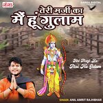 Teri Marji Ka Mai Hu Gulam