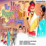 Tor Mor Peyar Ke Jain Gelay