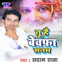 Tu Hai Bewafa Sanam - Single