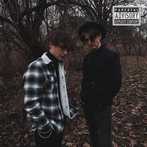 Vibes cover art