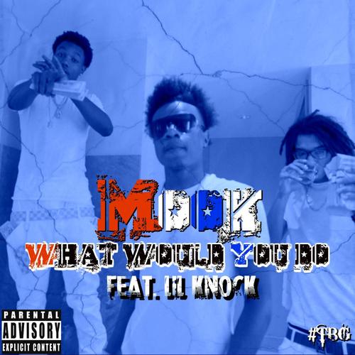 What Would You Do (feat. Lil Knock)_poster_image