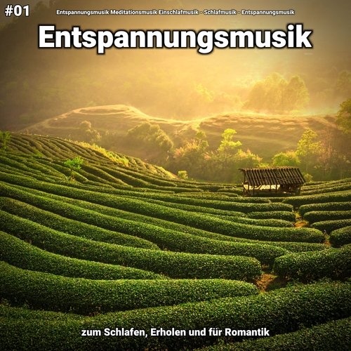 Meditationsmusik cover art