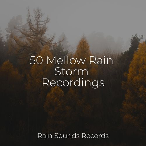 50 Mellow Rain Storm Recordings_poster_image