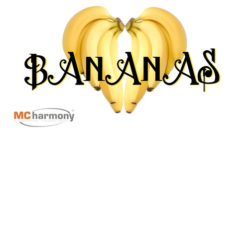 Brandon cover art