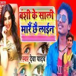 Banshi Ke Sali Mare Chhe Lain