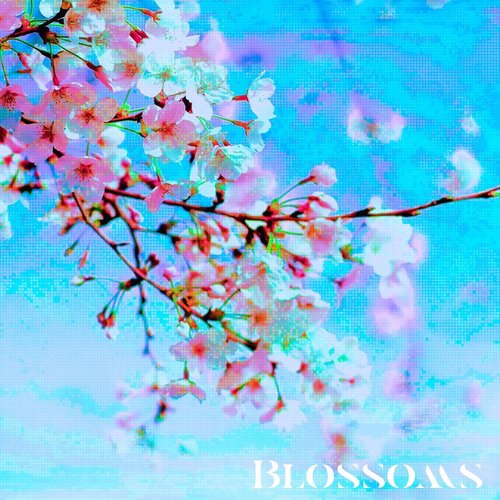 Blossoms cover art