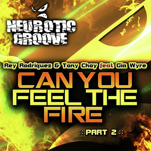 Can You Feel the Fire - Remixes_poster_image