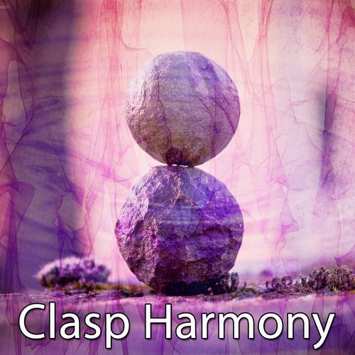 Clasp Harmony
