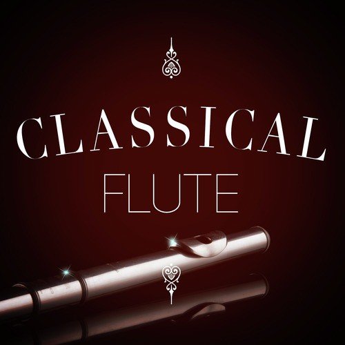 Concerto for 2 Flutes in C Major, RV 533: I. Allegro