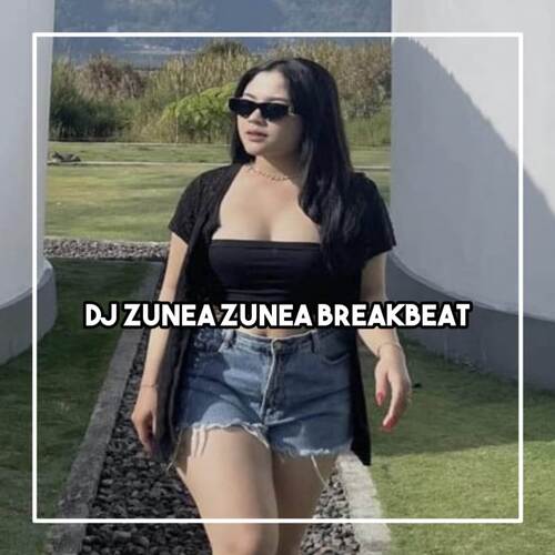 DJ Zunea Zunea BreakBeat