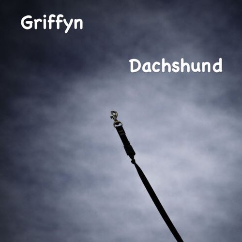 Dachshund cover art