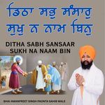 Ditha Sabh Sansaar Sukh Na Naam Bin