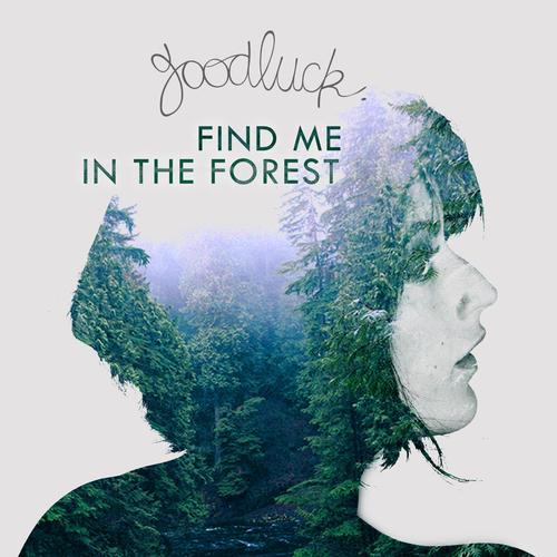 Find Me in the Forest_poster_image