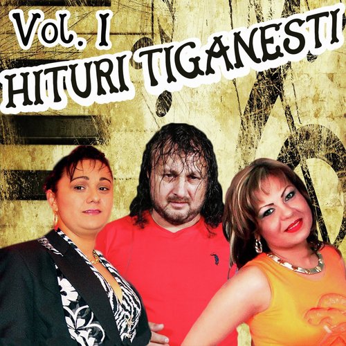 Hituri Tiganesti, Vol. 1