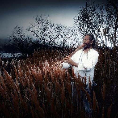 Journey to Peace Within