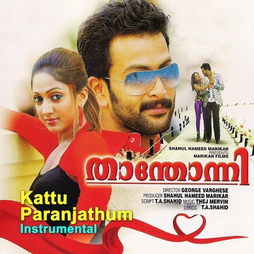 Kaattu Paranjathum (Instrumental)