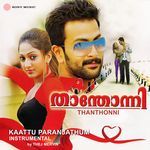 Kaattu Paranjathum (Instrumental)