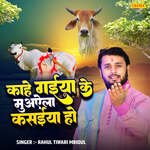 Kahe Gaiya Ke Muawela Kasaiya Ho