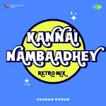 Kannai Nambaadhey - Retro Mix