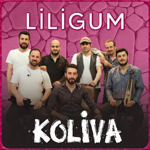 Liligum (Akustik)_poster_image