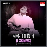 Mandolin - 4 (Instrumental)