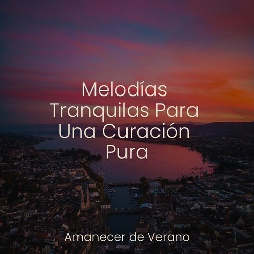 Melodías Tranquilas Para Una Curación Pura