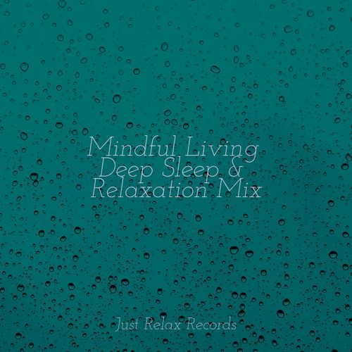 Mindful Living Deep Sleep & Relaxation Mix